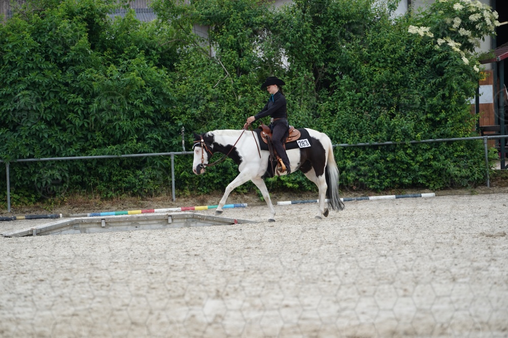 s_A9_06680.jpg